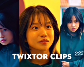Player 222 Twixtor
