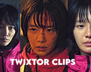 Guard 11 Twixtor