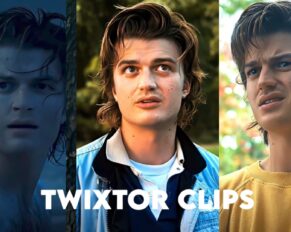 Steve Harrington Twixtor