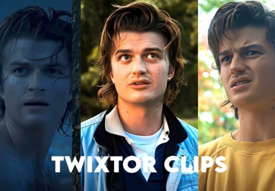 Steve Harrington Twixtor