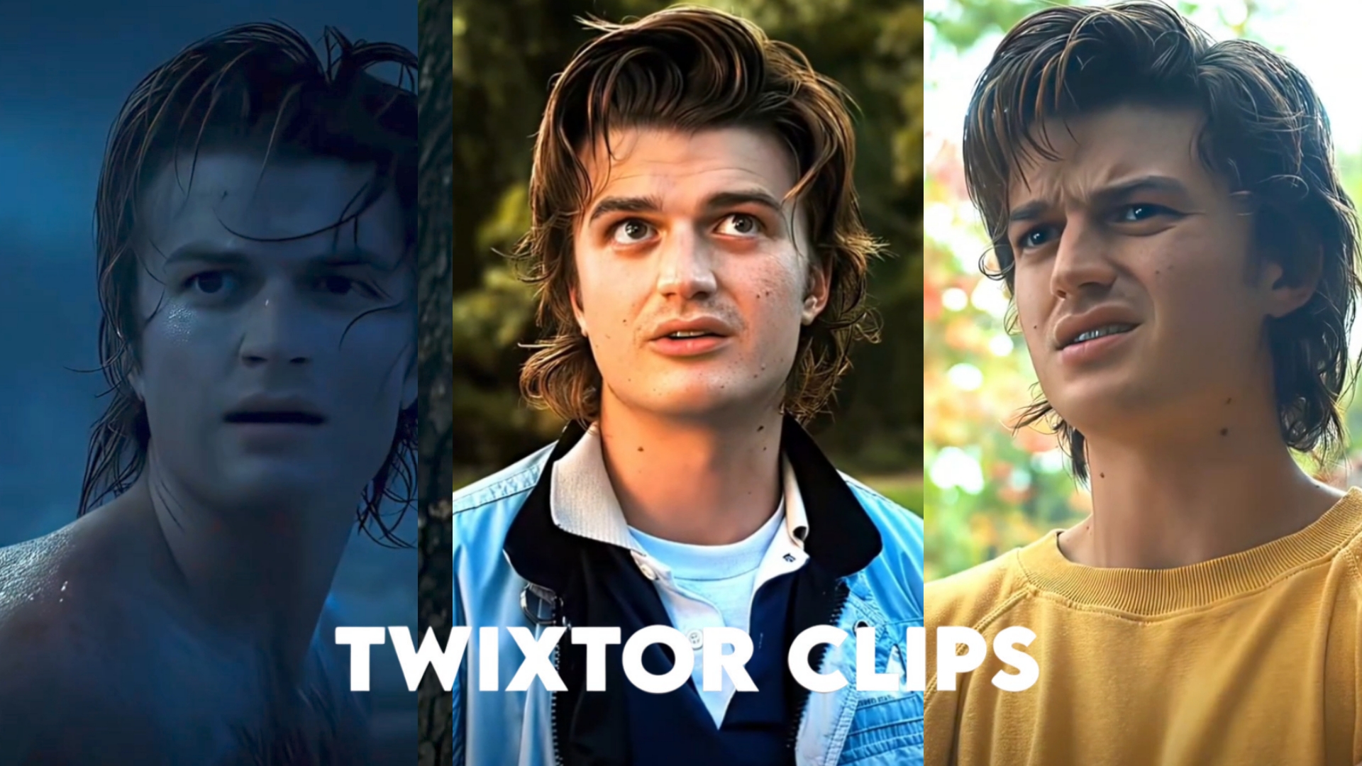 Steve Harrington Twixtor
