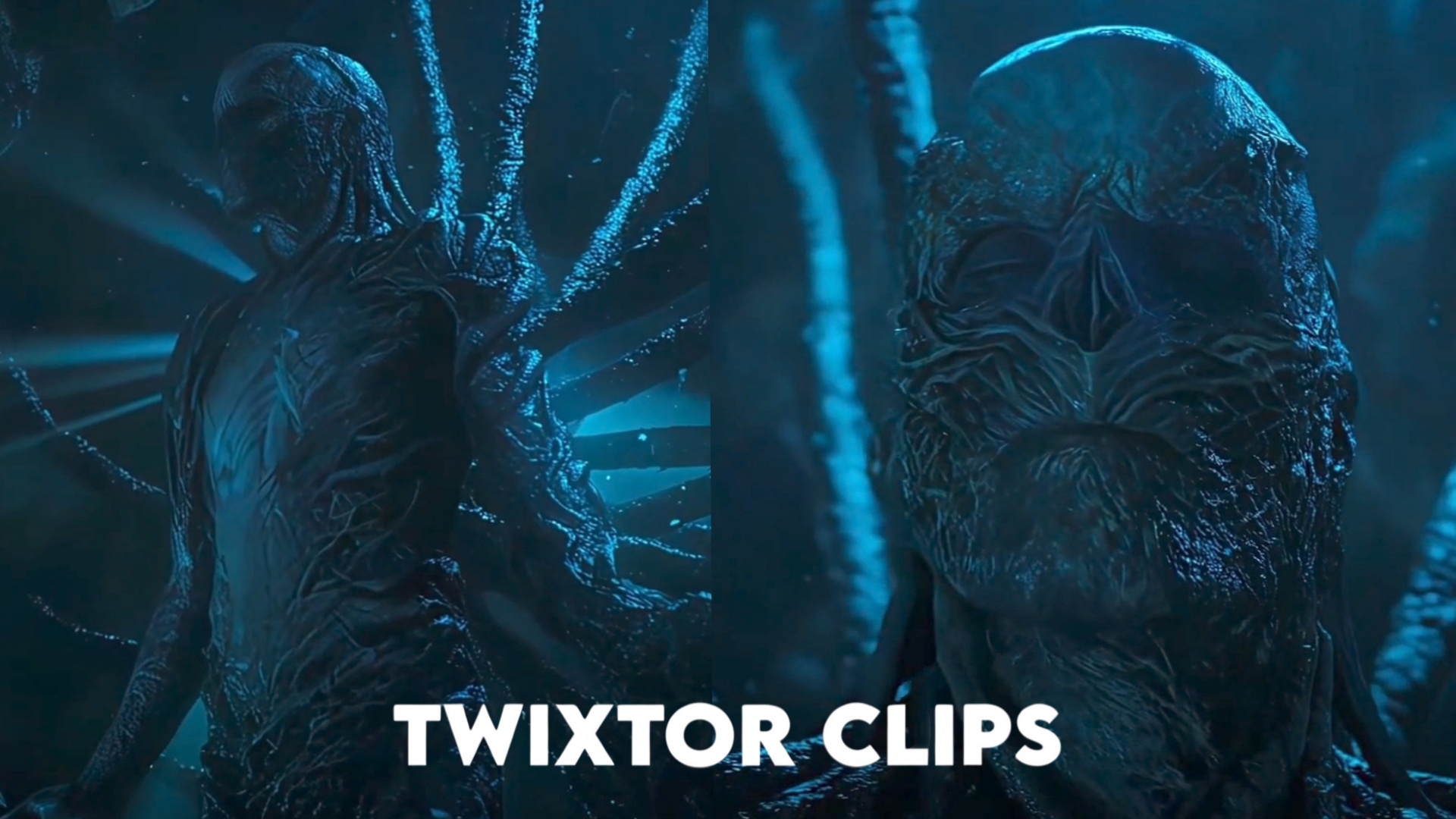 Vecna Twixtor