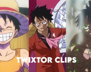 Luffy Twixtor