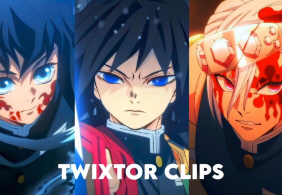 Hashira Twixtor