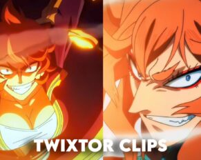 Mereoleona Twixtor