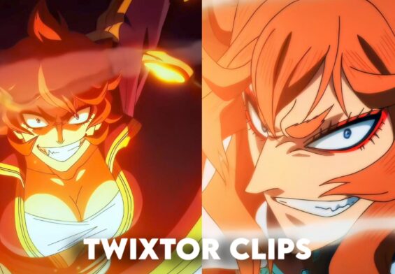 Mereoleona Twixtor