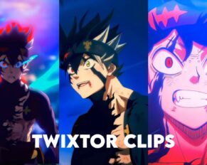 Asta Twixtor