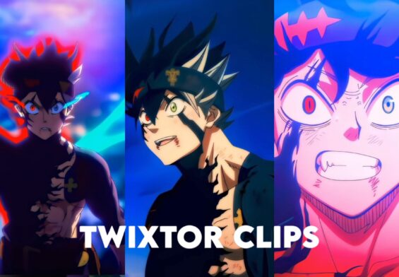 Asta Twixtor