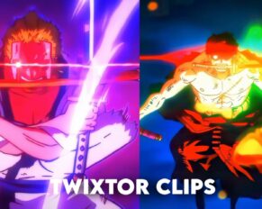 Roronoa Zoro Twixtor
