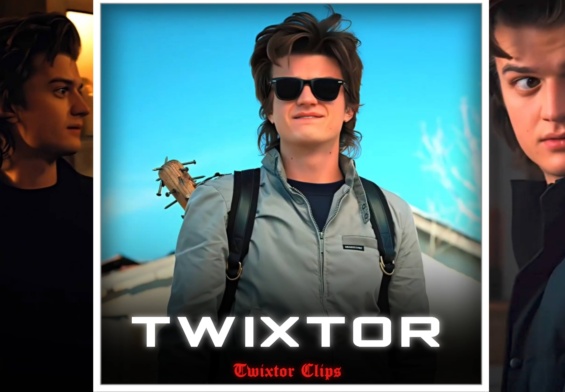 Steve Twixtor