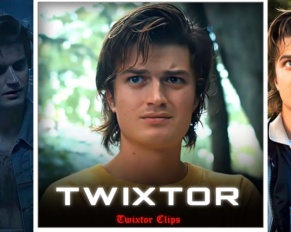 Steve Harrington Twixtor