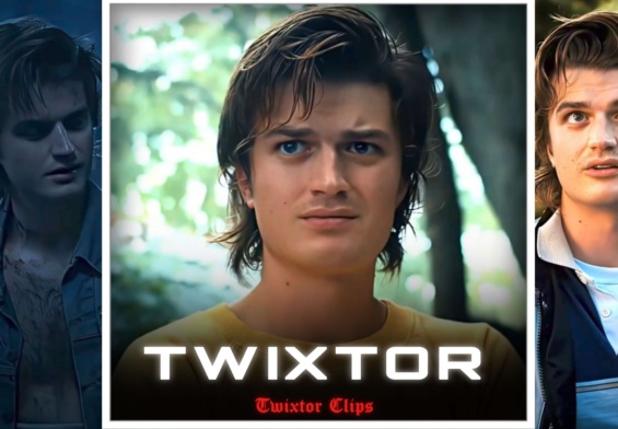 Steve Harrington Twixtor