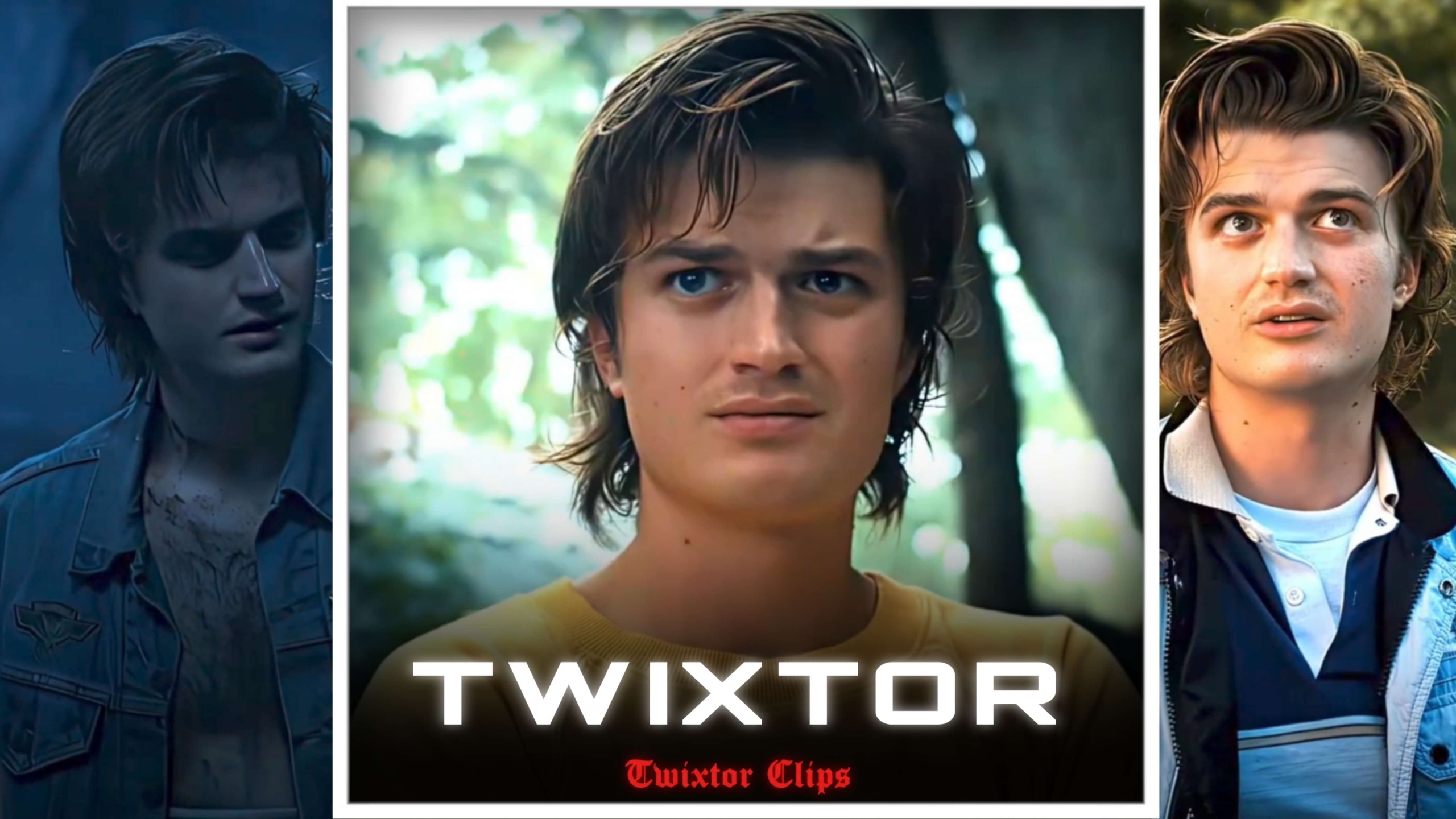 Steve Harrington Twixtor