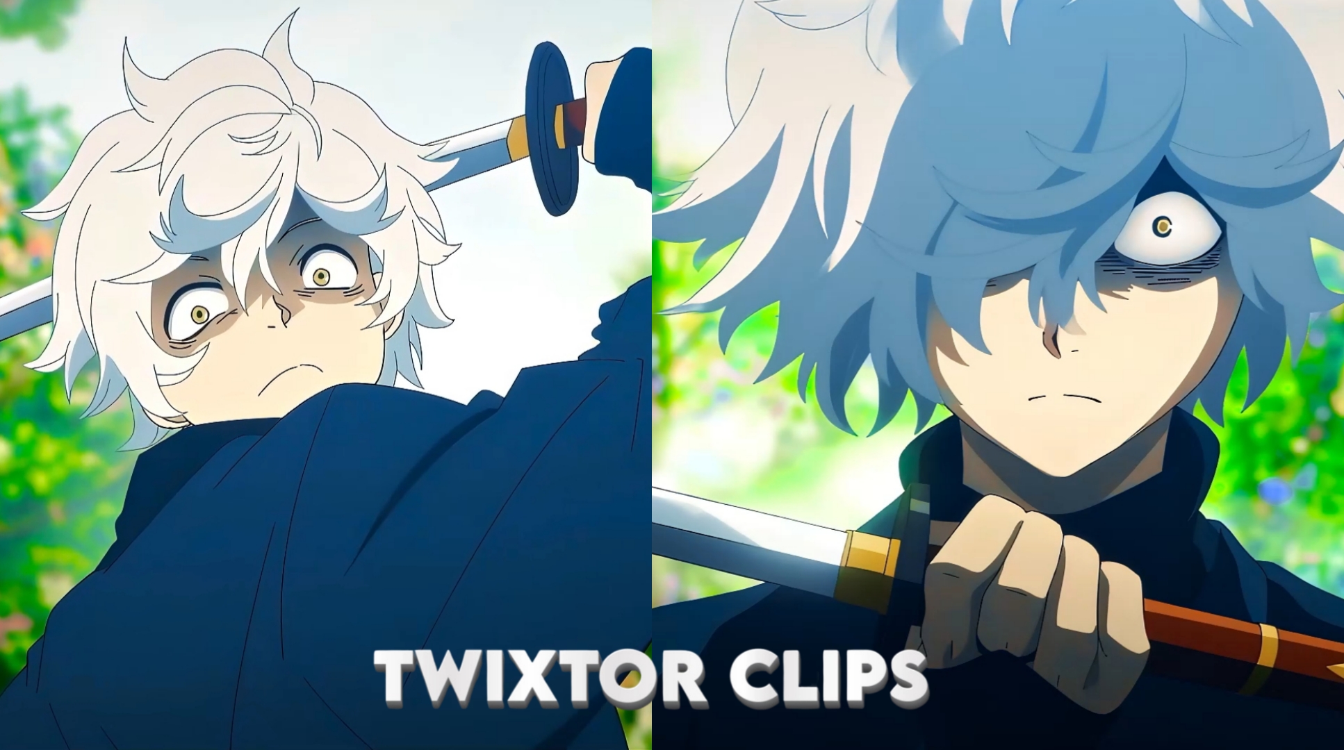 Gabimaru Twixtor
