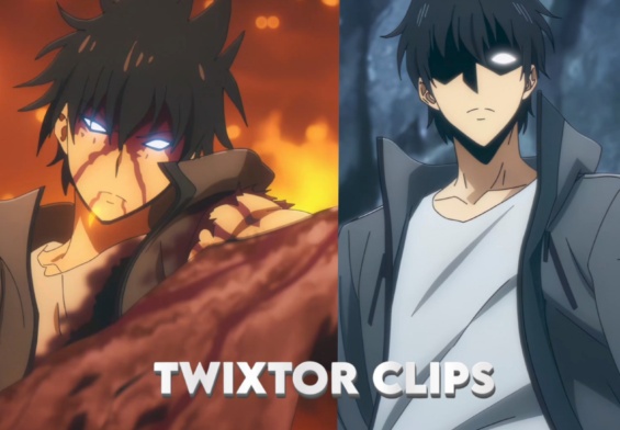 Sung Jinwoo Clips