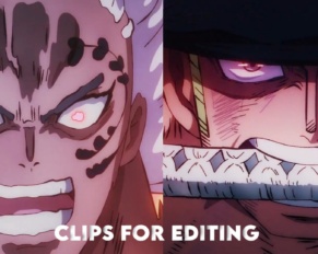 Zoro vs King Clip