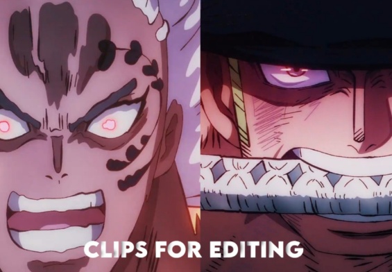 Zoro vs King Clip