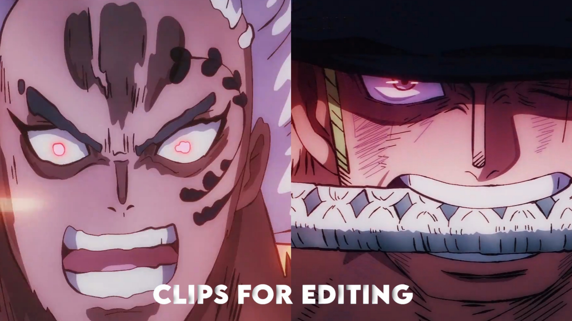 Zoro vs King Clip