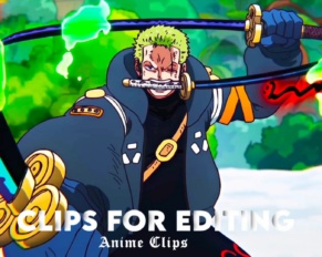 Zoro vs Rob Lucci Raw Clip
