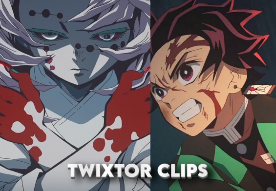 Tanjiro vs 12th Kizuki Clip