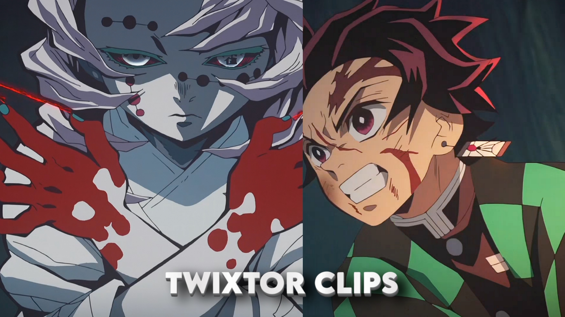 Tanjiro vs 12th Kizuki Clip