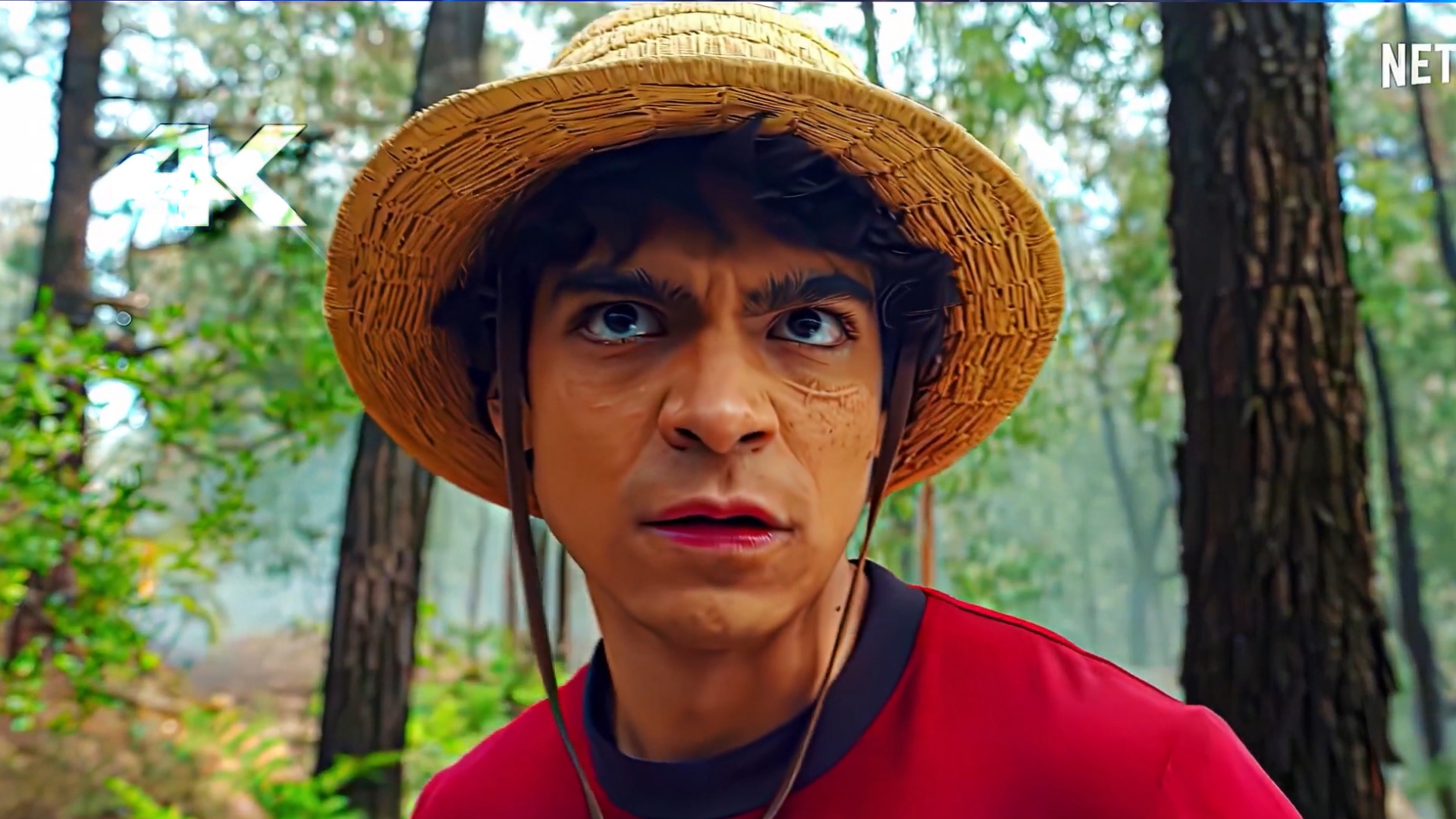 One Piece Live Action Season 2 Scenepack