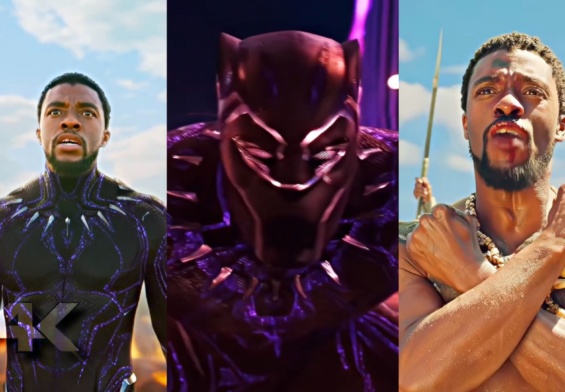 Black Panther Scenepack