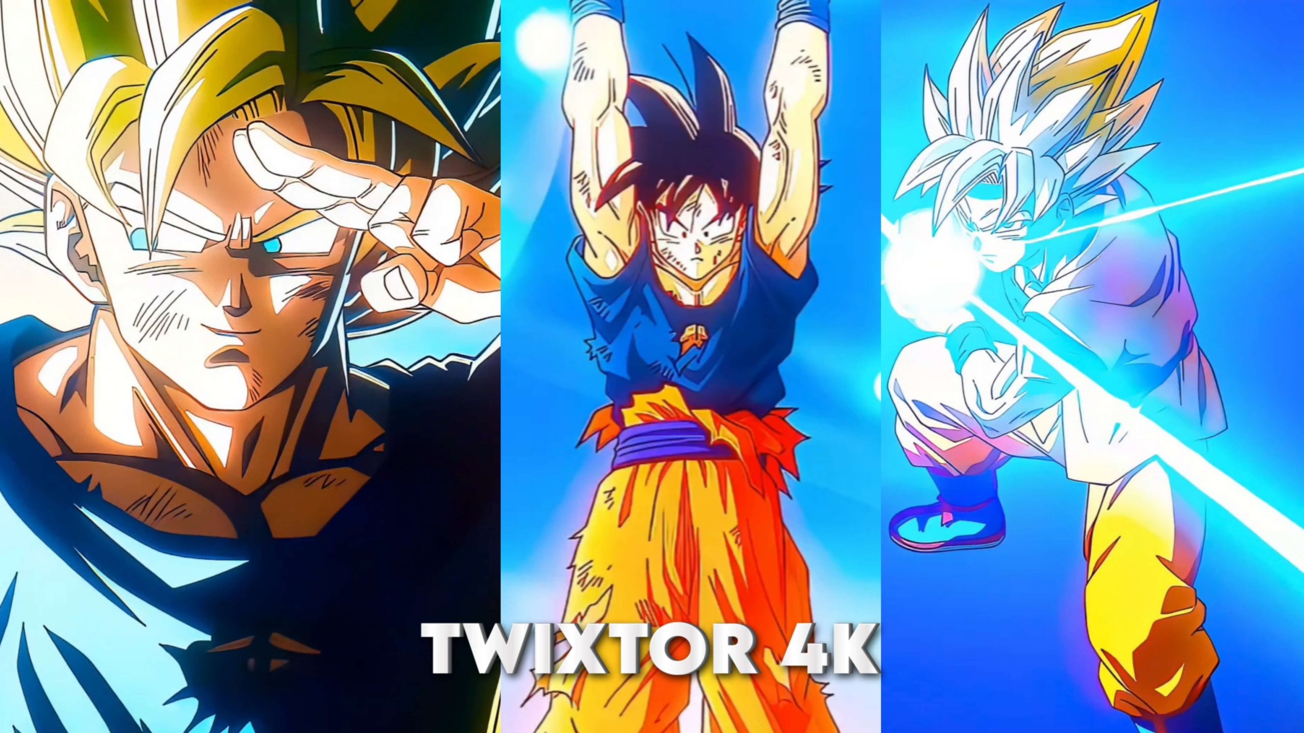 Goku Twixtor 4K
