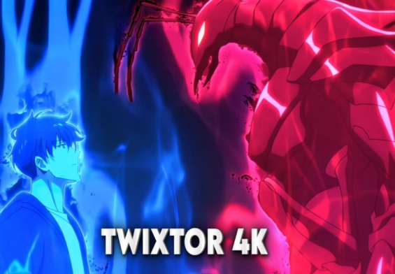 Sung Jinwoo vs Beru Twixtor