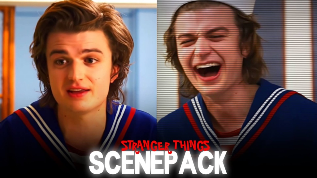 Steve Harrington Twixtor Clips