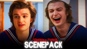 Steve Harrington Twixtor Clips