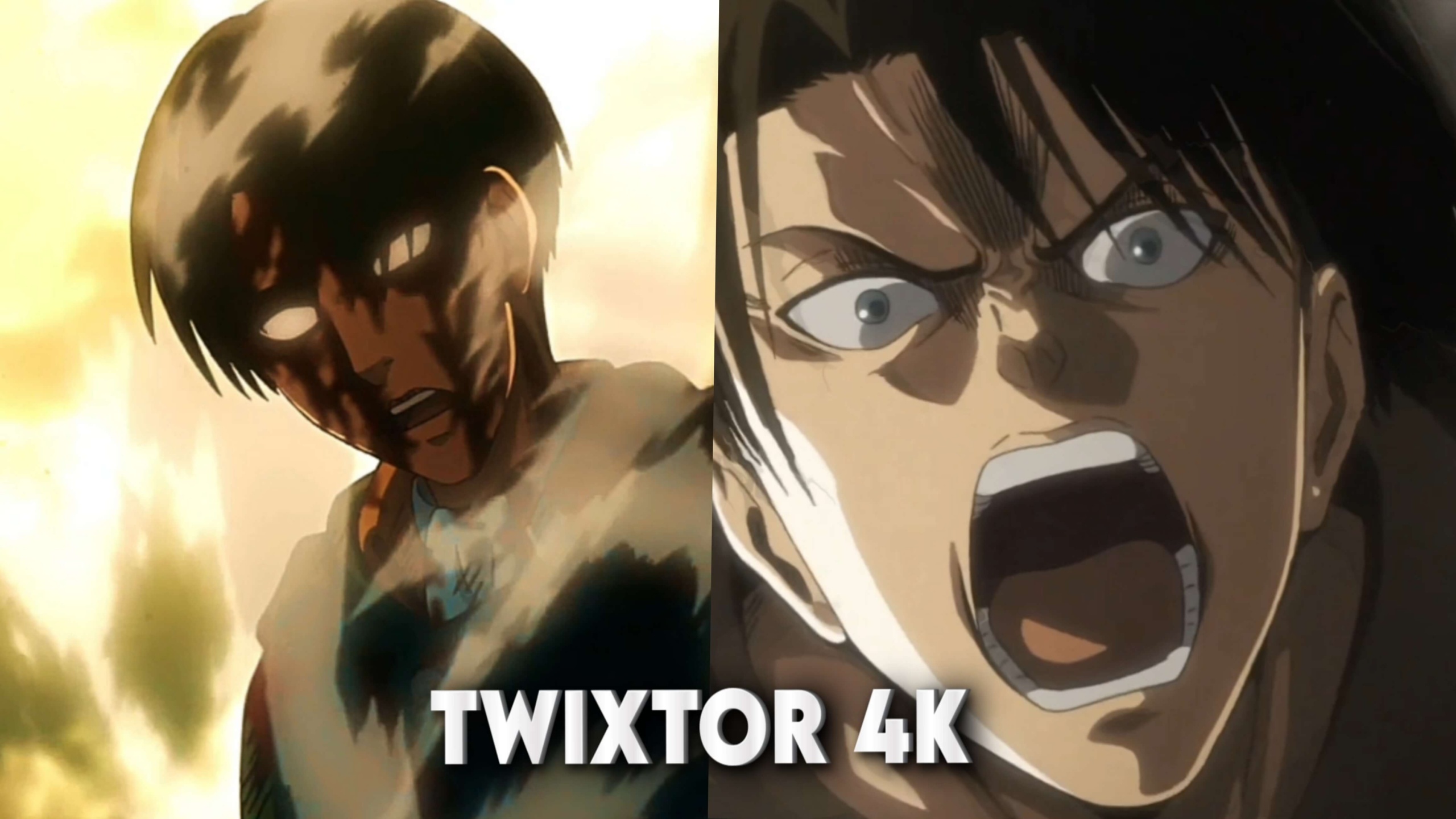 Levi Ackerman Twixtor