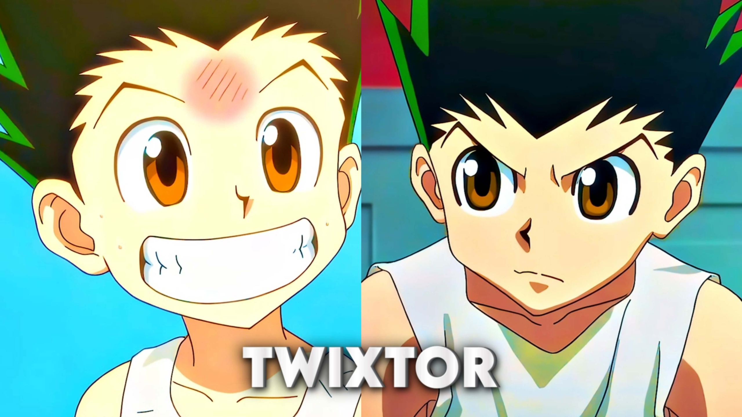 Gon Freecss Twixtor