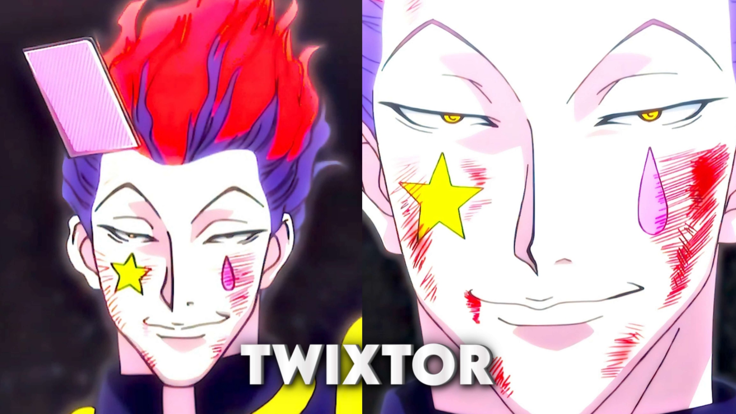 Hisoka Twixtor