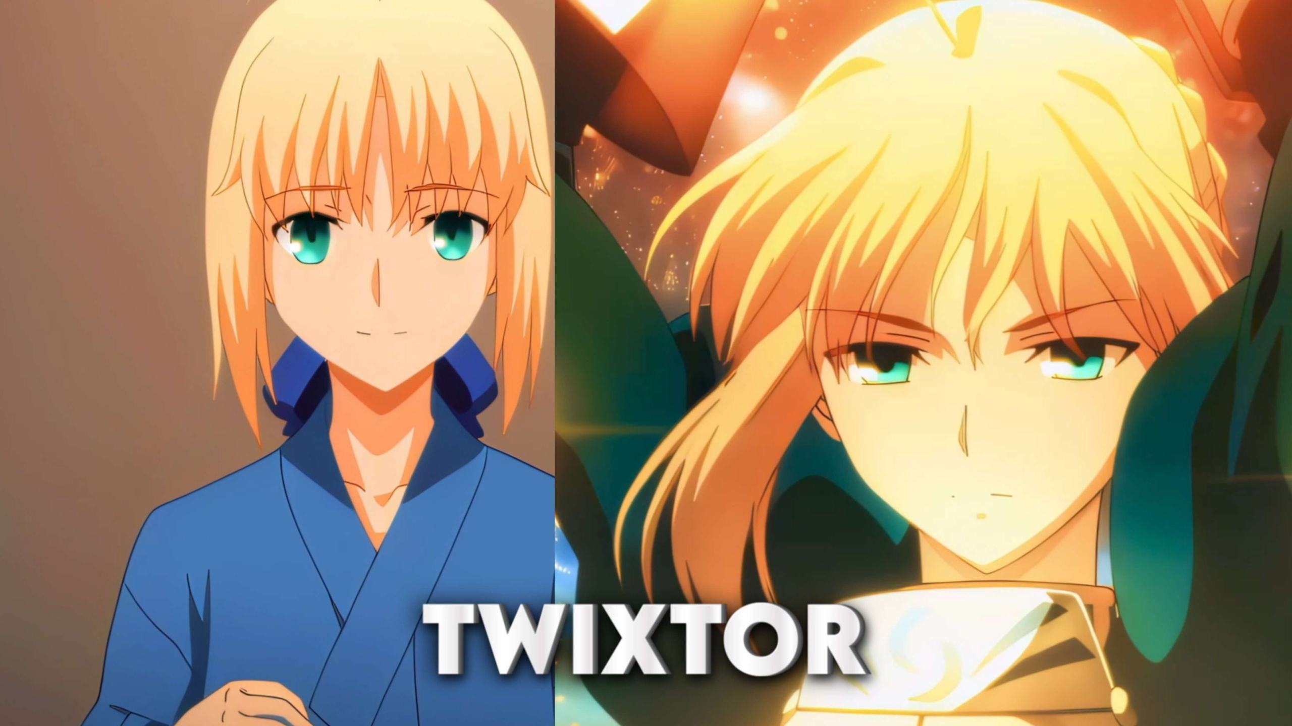 Saber Twixtor