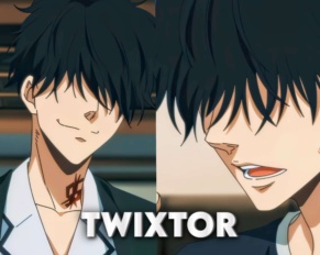 Ron Kamonohashi Twixtor 