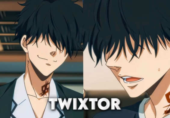 Ron Kamonohashi Twixtor 