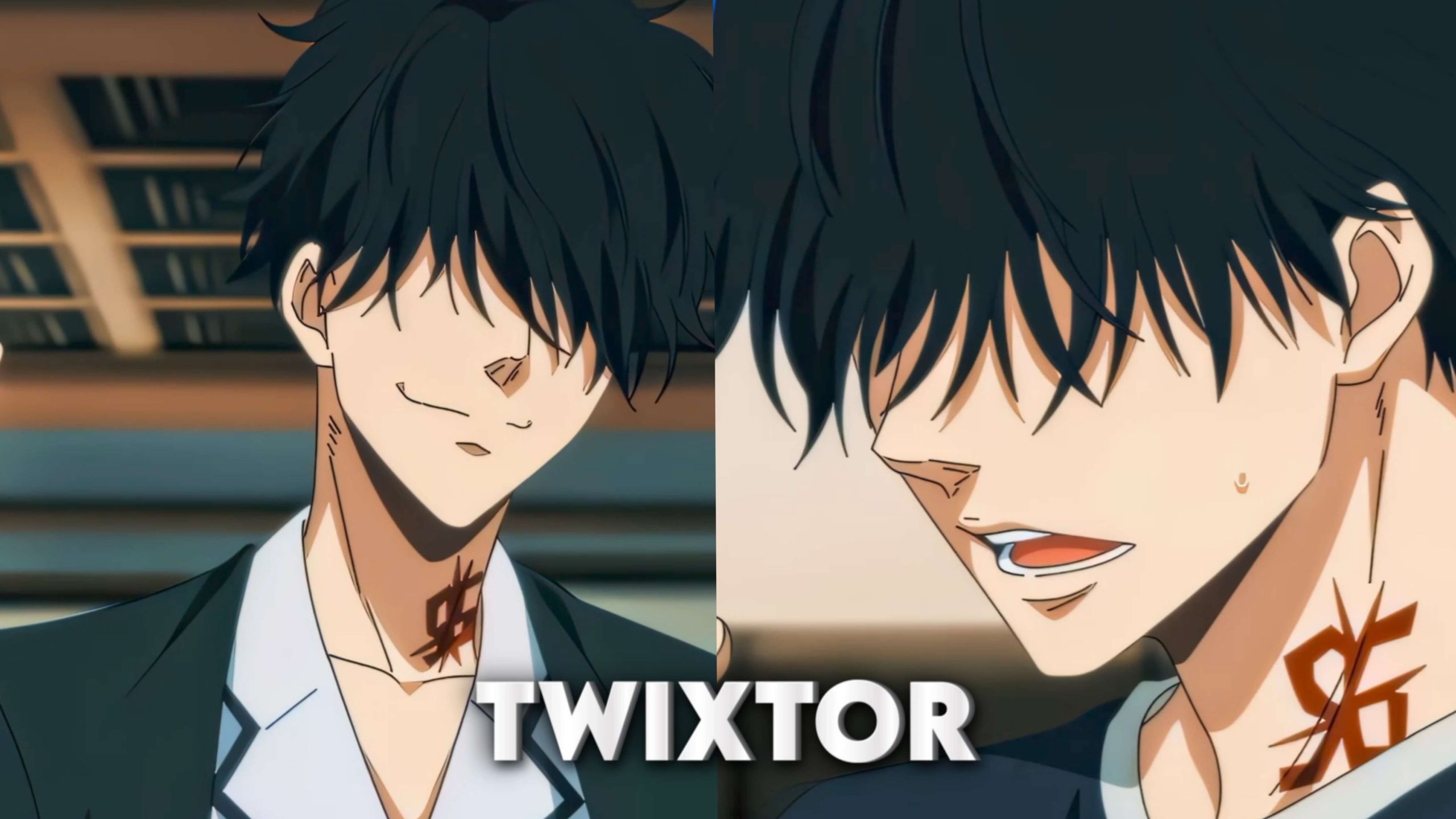 Ron Kamonohashi Twixtor 