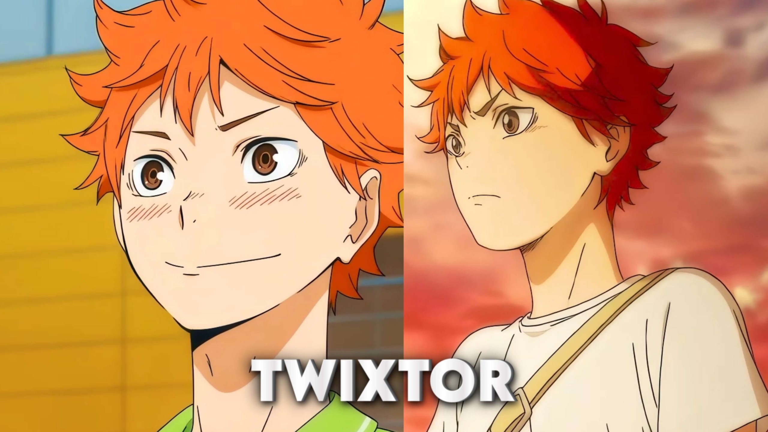 Shoyo Hinata Twixtor