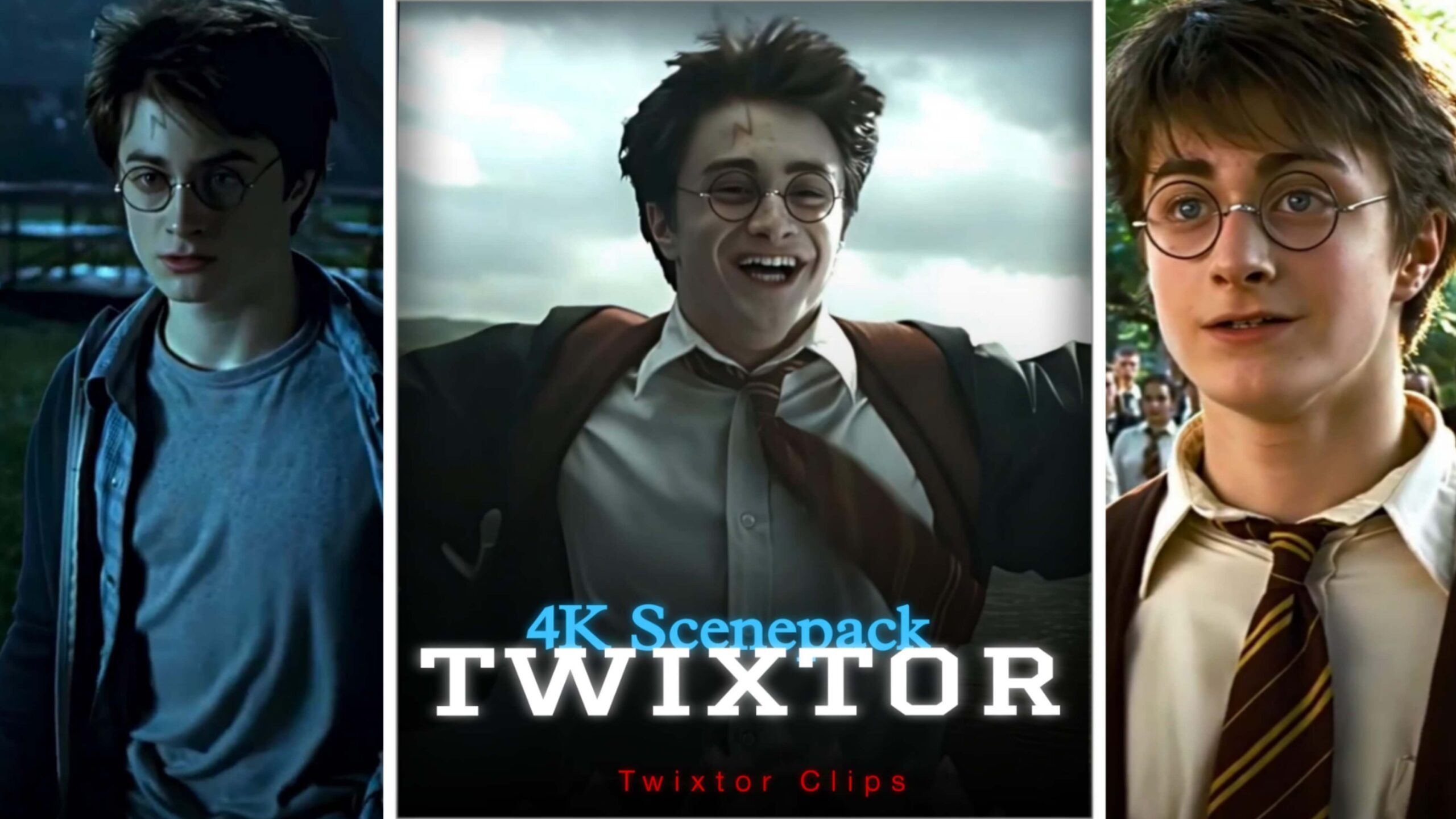 Harry Potter Twixtor 4K