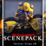 Bumblebee Scenepack