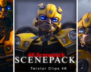 Bumblebee Scenepack