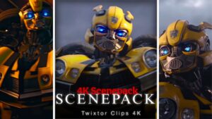 Bumblebee Scenepack