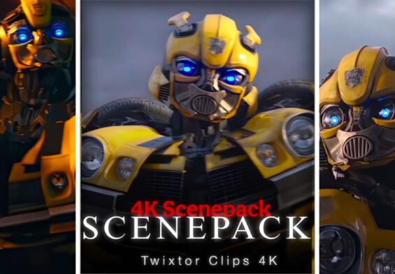 Bumblebee Scenepack