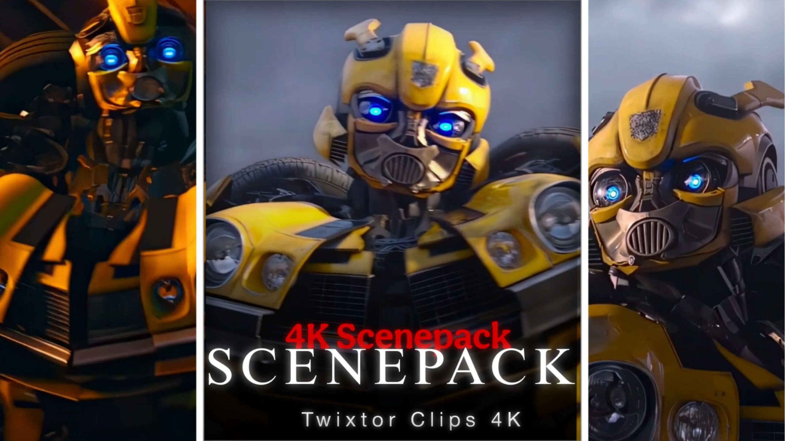 Bumblebee Scenepack