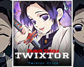 Shinobu Twixtor