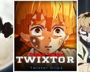 Zenitsu Agatsuma Twixtor