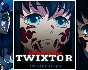 Tokito vs Gyokko Twixtor