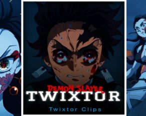 Daki vs Tanjiro Twixtor