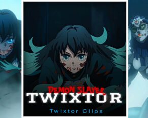 Muichiro Tokito Kill Gyokko Twixtor